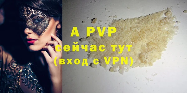 ГАЛЛЮЦИНОГЕННЫЕ ГРИБЫ Липки