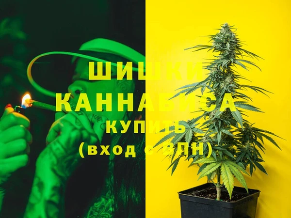 ГАЛЛЮЦИНОГЕННЫЕ ГРИБЫ Липки