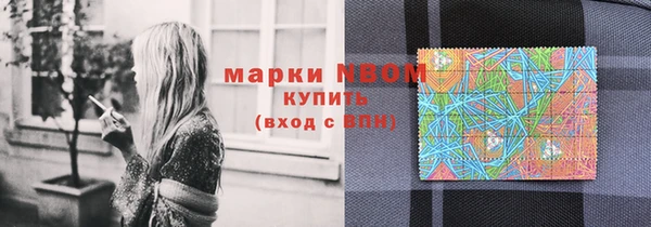 ГАЛЛЮЦИНОГЕННЫЕ ГРИБЫ Липки